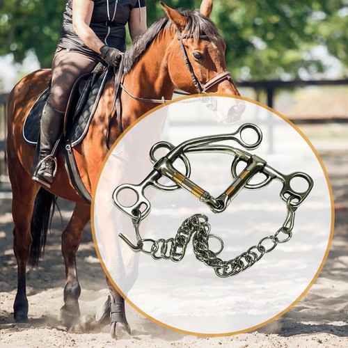 Horse bit riding - horse,