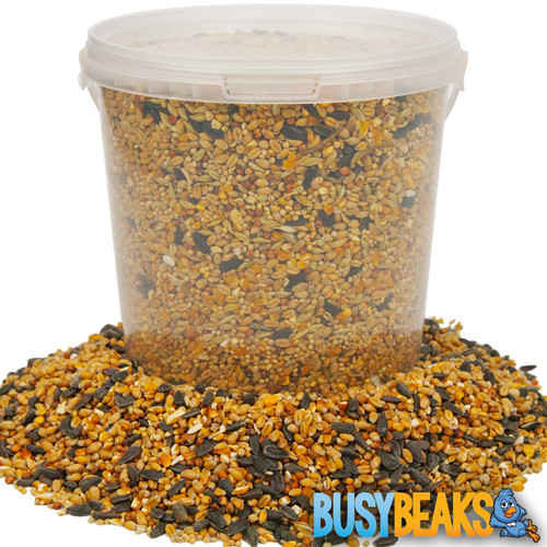 Busybeaks year round mixture - year,