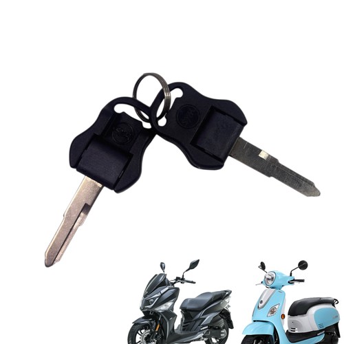 Oem sym fiddle iii - sym,