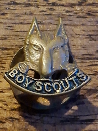 Boy scouts wolf cub - scouts,