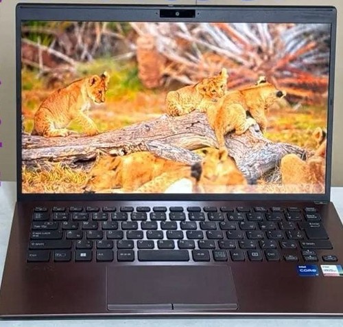 Vaio vjpk21 1165g7 iris - vaio, i7-1165g7