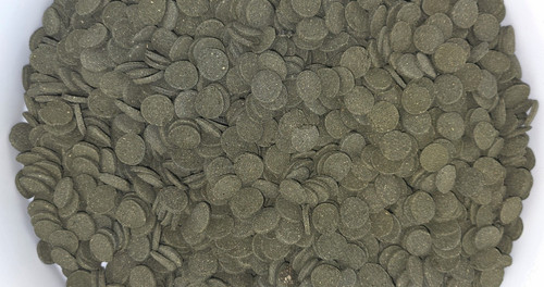 Pleco wafers spirulina - pleco,