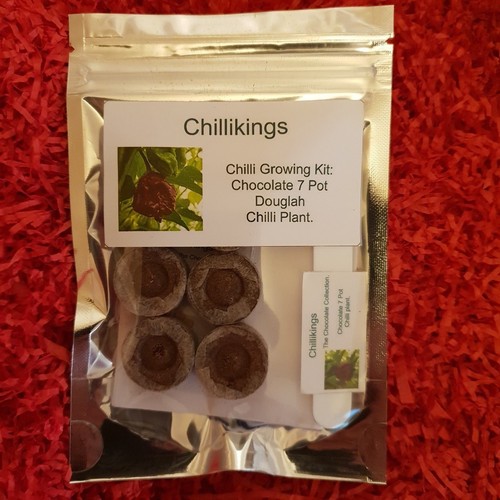 Chocolate pot douglah - chocolate,