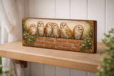 Barn Owl Wall Art  wooden
