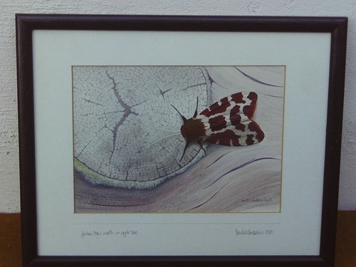 Vintage 1980 framed - 1980,