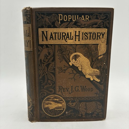 1885 popular natural history - popular,