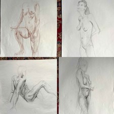 Nude Life Drawings x 48 Bundle