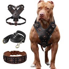 3pcs Genuine Leather Dog