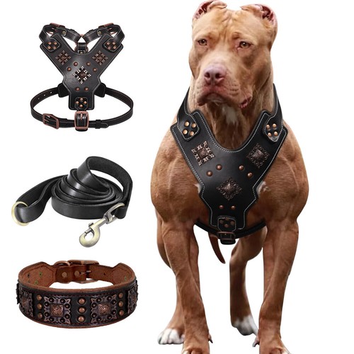 3pcs genuine leather - genuine, dog