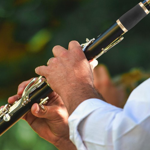 Instrument accessories - instrument,
