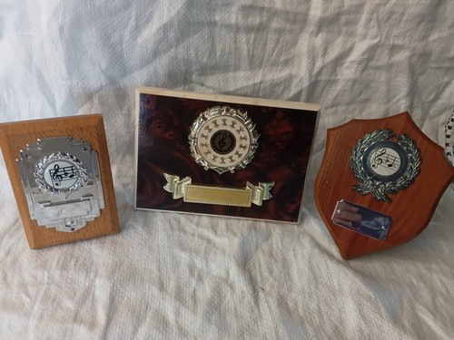 Not engraved wooden trophy - wooden,