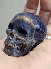 Sodalite Skull Carving Crystal