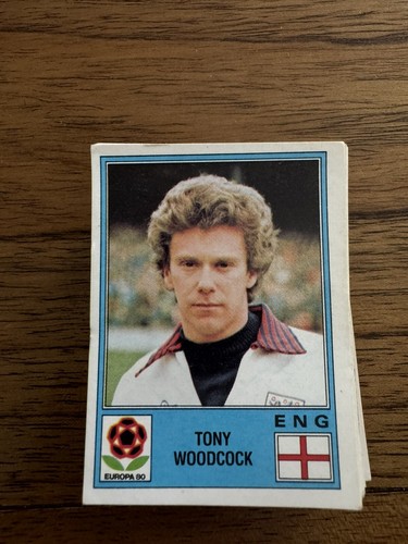 Panini europa stickers - europa,