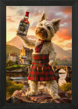 Highland Terrier Scotland