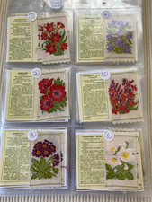 Kensitas flowers 2nd series - flowers-2nd,