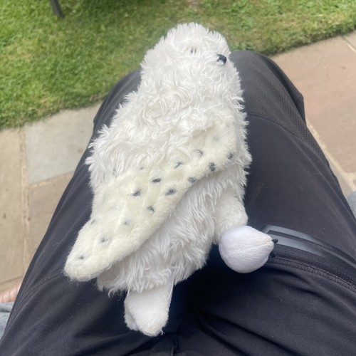 Harry potter hedwig owl white - harry,