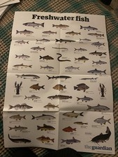 THE GUARDIAN Freshwater fish