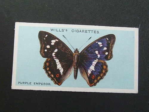 Wills british - &,