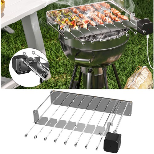 Skewer kebab shish - 10,