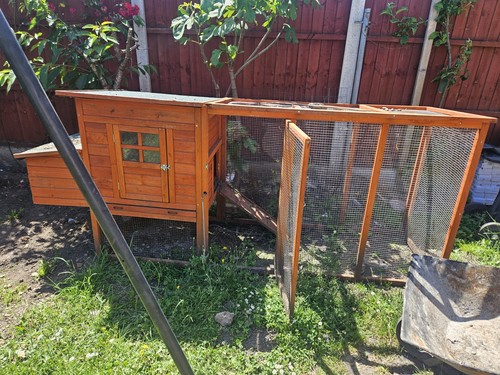 Extra large hen house chicken - extra,