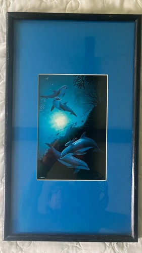 Wyland studio dolphin - studio,