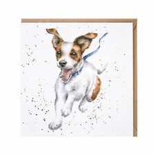 Funny Jack Russell Dog