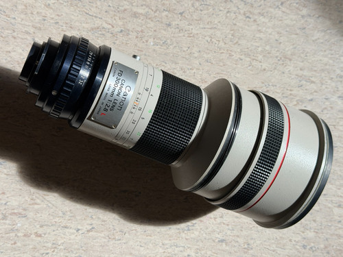 Canon 300mm l lens - canon,
