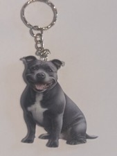 Staffordshire Bull Terrier Dog