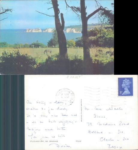 Studland bay and cliffs - studland,