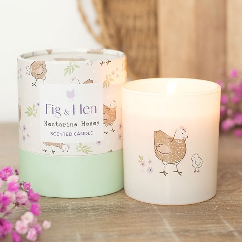 Fig hen pretty gift - &,