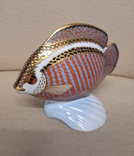 Royal crown derby - derby, fish