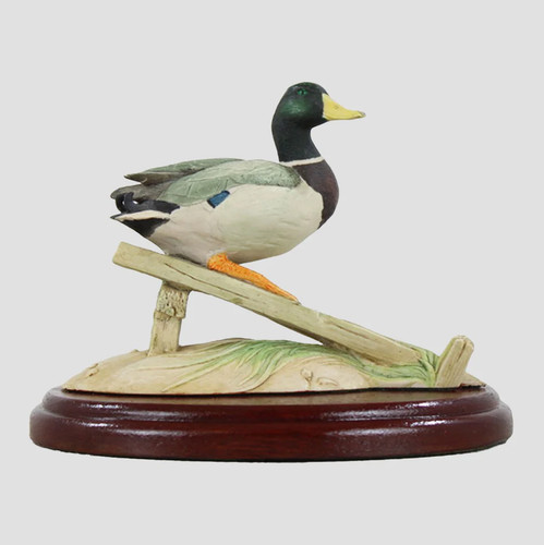 Mallard drake plank border - on,