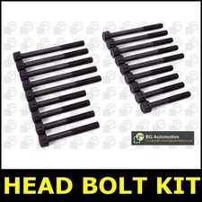 Head Bolt Kit Fits Kia SEDONA