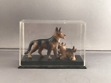 (895)    German Shepard W/ 2