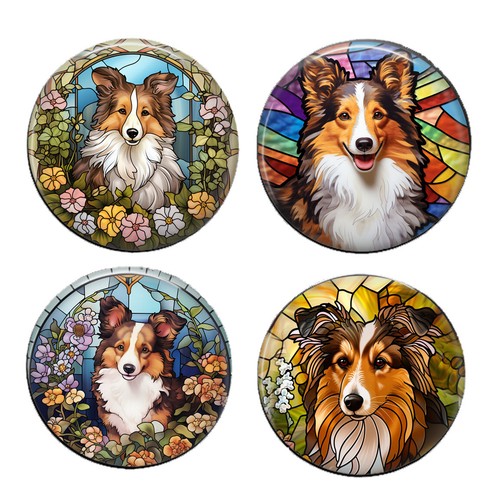 Set sheltie puppy - of,
