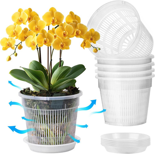 14cm orchid pots clear - orchid, plant
