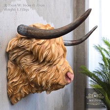 Scottish Highland Cow Head wall mounted brown decorative with horns, Cowshead