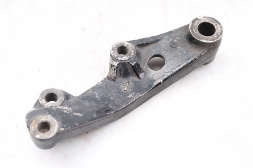 Rear brake caliper holder