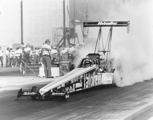 Joe amato exeter won - amato,