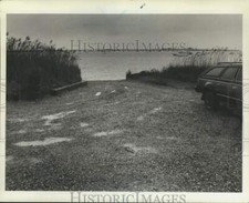 1988 Press Photo The cartop