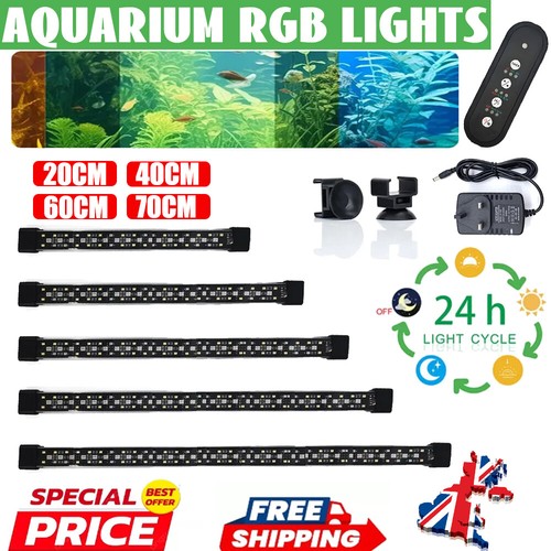 Aquarium fish tank - fish,