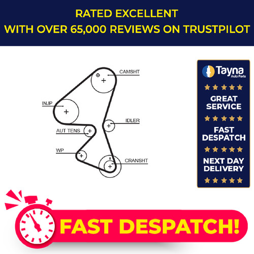 Timing belt fits ford focus - belt,