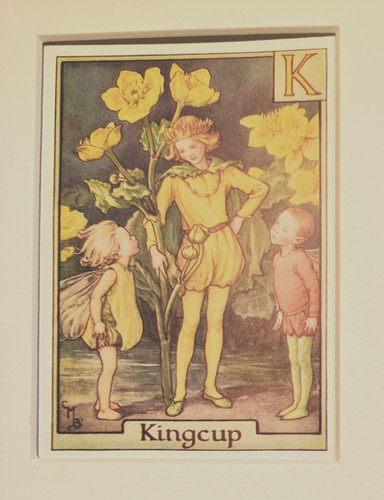 Vintage flower fairies - flower, &