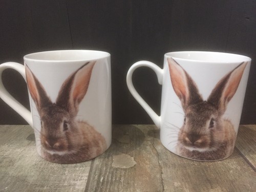 Set new china bunny - 4,
