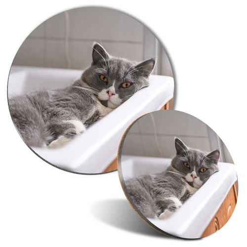 Mouse mat coaster - mouse,
