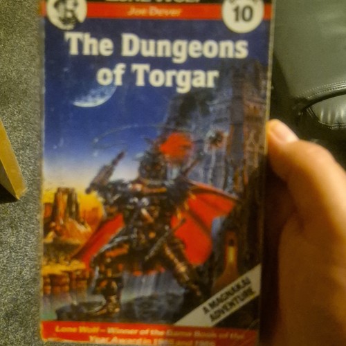 Lone wolf book - book, the
