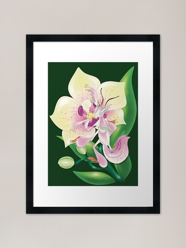 Orchid mantis climbing - orchid,