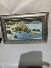 Shed Find Tiger Limited Signed
