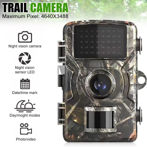 16mp wildlife camera - wildlife, with