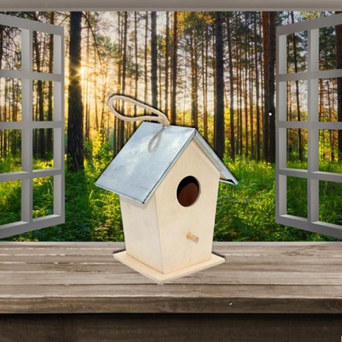 Outside house nest - outside,